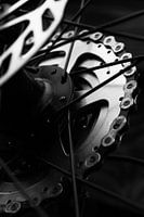 De Achteras: De verbonden kracht van de racefiets