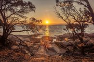 Sunset in Freycinet NP on Tasmania by Corno van den Berg thumbnail