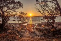 Sunset in Freycinet NP on Tasmania