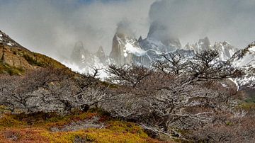 Paysage sauvage des montagnes de Patagonie en look rétro sur Christian Peters
