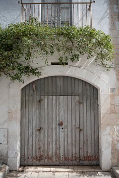 Oude grijze deur met planten aan balkon | Italië | Reisfotografie van Monique Tekstra-van Lochem