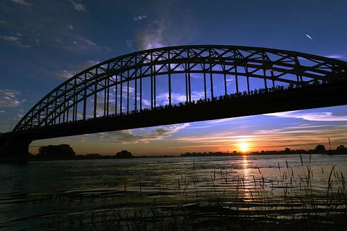 Vierdaagse start 2014, 1.