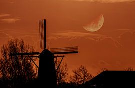 Home sweet home von Irene Lommers