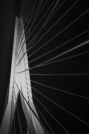 Gros plan abstrait du pont Erasmus à Rotterdam, le soir, en noir et blanc