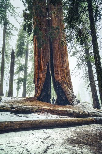 Who do we think we are?