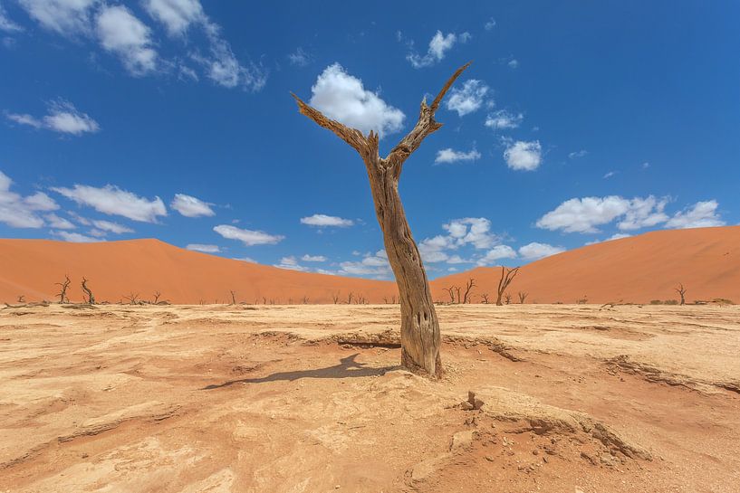 Deadvlei Namibie, Afrique du Sud par lousfoto