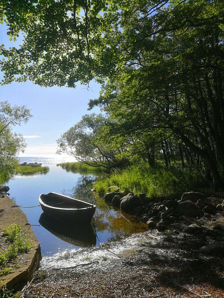 Ein Boot am See von Lars Tuchel
