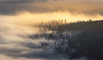 Harz mist van Steffen Henze