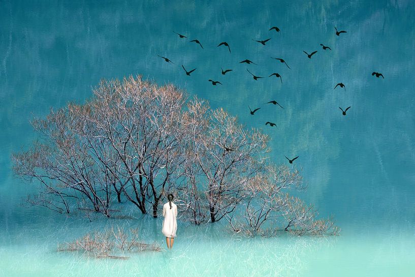Reflection by Jacky