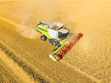 Combine harverster harvesting wheat during summer by Sjoerd van der Wal Photography