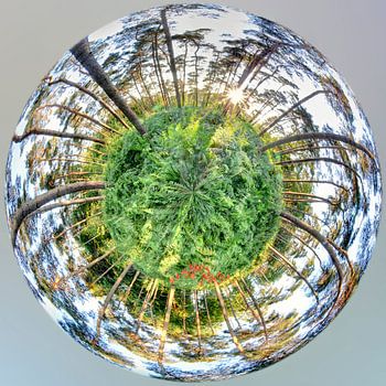 Mini Planeet 360 - Bois de Villers