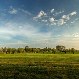 Opwierde (Groningen) by Johan van der Linde