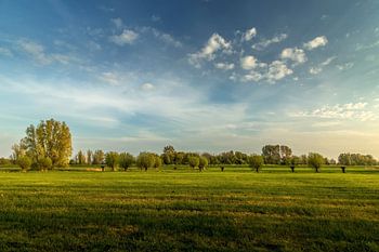 Opwierde (Groningen)