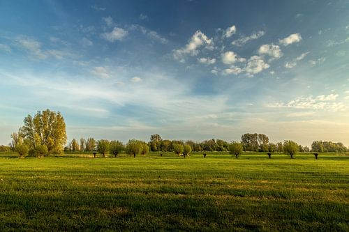 Opwierde (Groningen)