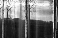 Landschap door glas