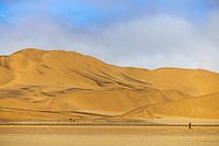 Whispers in the dunes