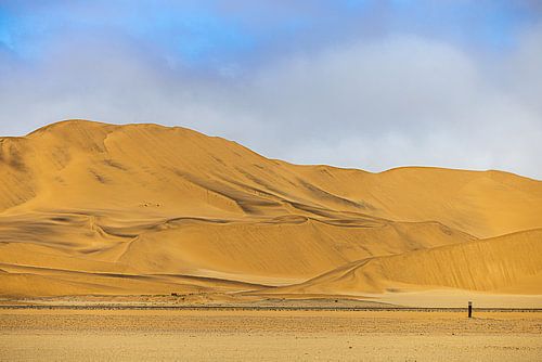 Whispers in the dunes