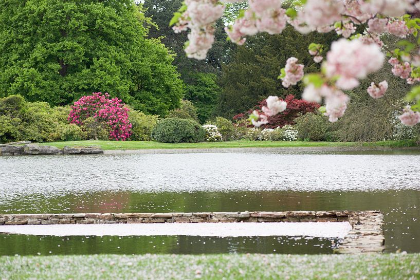 tuin von marijke servaes