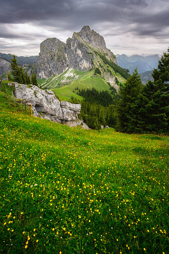 Imposante Aggenstein-rotsformatie boven een groene alpenweide in de Hoc