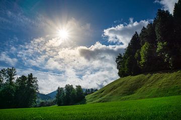 Fantastisches Nachmittagslicht am Rande des Schwarzwaldes bei Freiburg im Breisgau von adventure-photos