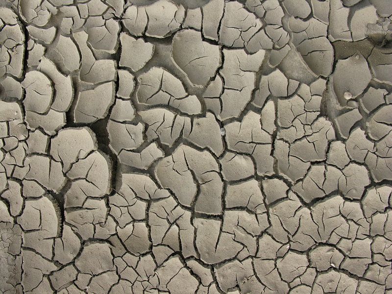 Opgedroogde modder by Rafael Delaedt