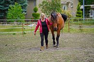 Trakehner Feldmeyer met eigenaar in de wei van Babetts Bildergalerie thumbnail