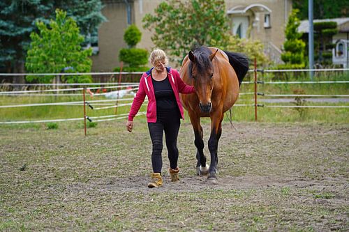 Trakehner Feldmeyer met eigenaar in de wei