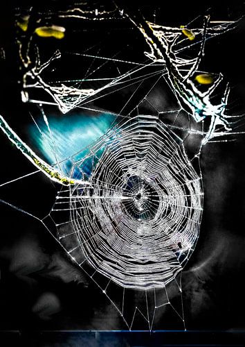The spider has worked hard to create this amazing web of threads.