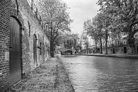 Werfkelder langs gracht in Utrecht