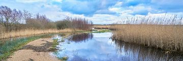 Het Zwanenwater wandelpad bij hoogwater