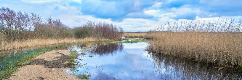 The Zwanenwater footpath at high tide by eric van der eijk