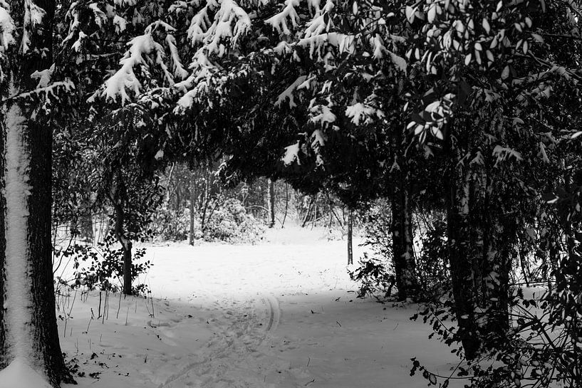 Winter landscape with a vista. by Lieke van Grinsven van Aarle
