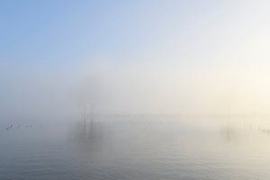 Brume s'élevant de la rivière IJssel par une froide matinée d'hiver. sur Sjoerd van der Wal Photographie