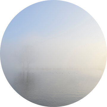 Nevel die opstijgt boven de IJssel tijdens een koude winterochtend van Sjoerd van der Wal Fotografie