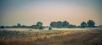 The river foreland