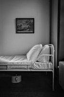Silent life in black and white