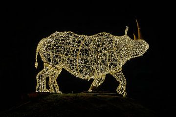 Rhino als lichtinstallatie en decoratie van Heiko Kueverling