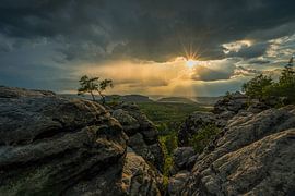Suisse saxonne sur Ralf Hickmann
