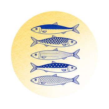 Sunlit Orb: A Five Indigo Fish Study