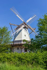 Hochzeitsmühle, Holländerwindmühle, Windmühle, westfälische Mühlenstraße, Tonnenheide, Rahden, Minde