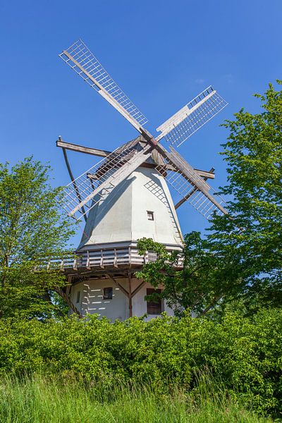 Moulin à mariage, moulin à vent néerlandais, moulin à vent, route des moulins de Westphalie, Tonnenh par Torsten Krüger