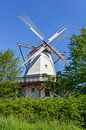Moulin à mariage, moulin à vent néerlandais, moulin à vent, route des moulins de Westphalie, Tonnenh par Torsten Krüger Aperçu