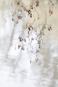 Herbst