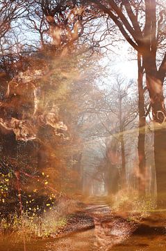 Abstracte fotografie | Abstract expressionisme | Modern abstract | Herfst in het bos van Art. by Janine