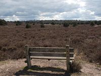 Bank mit Blick auf die Heidelandschaft