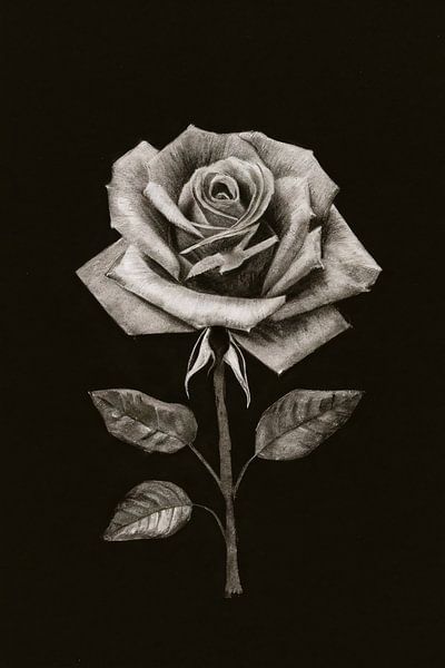 Minimalist Charcoal Drawing of a Rose by Art & Soul Creations