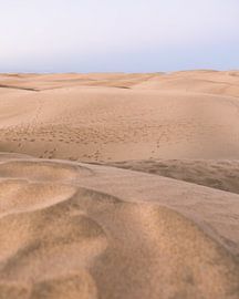 Sand dune with sunrise | Spain