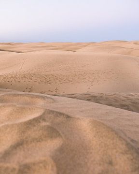 Sanddüne mit Sonnenaufgang | Spanien