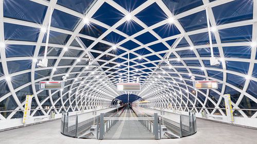 The Hague Central: Metro station