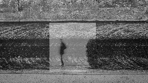 Streetlife 1